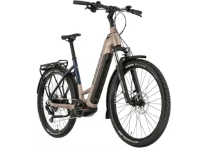 Rower elektryczny GHOST E-Teru B Universal EQ Low