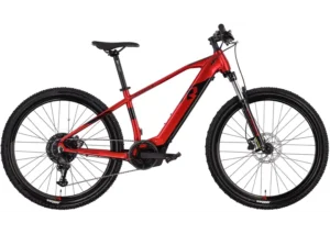 Rower elektryczny R-RAYMON HardRay E 4.0 29