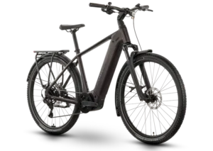 Rower elektryczny R-RAYMON Tahona Comp