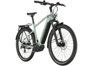 Rower elektryczny R-RAYMON Tourray Select