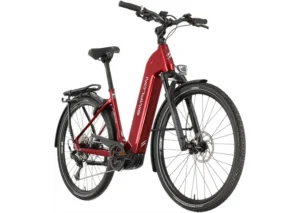 Rower elektryczny SIMPLON Chenoa E Cues