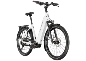 Rower elektryczny SIMPLON Kagu E Cues NIE