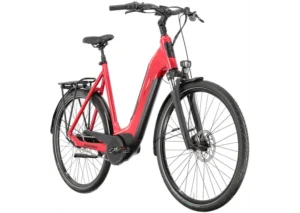 Rower elektryczny WINORA Tria N8