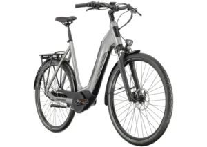 Rower elektryczny WINORA Tria N8f